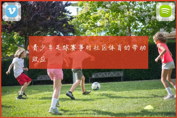 青少年足球赛事对社区体育的带动效应