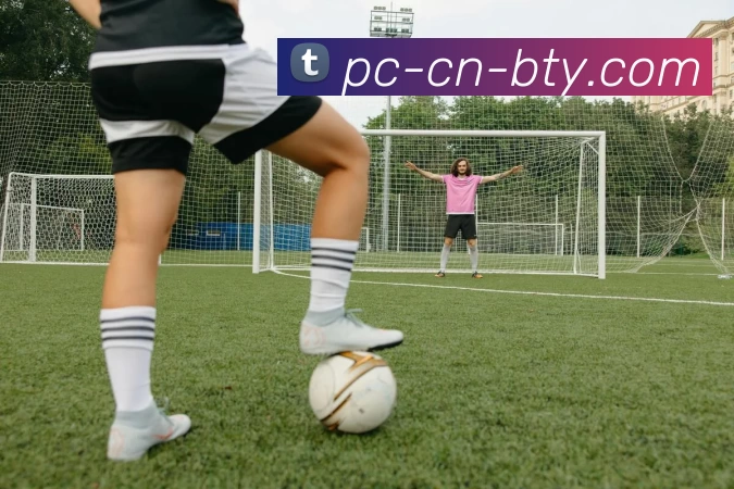 Team Liquid战队突破重围再创辉煌 成为全球电竞顶尖王者的传奇故事